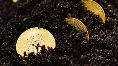 BitCow: Criptomonedas ingresan al sector agrícola argentino