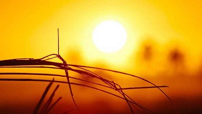 Cuando calienta el sol, aquí en la pampa!, por Emiliano Piccardo