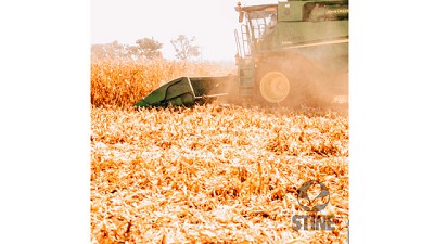 Las siembras tardías suman opciones para ganar rendimiento y calidad