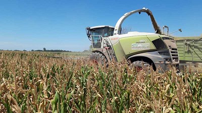 El desafío del picado de forrajes en tiempos de sequía