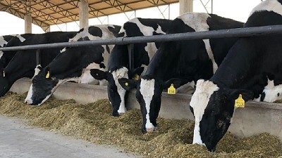 Créditos para tratamiento de residuos pecuarios