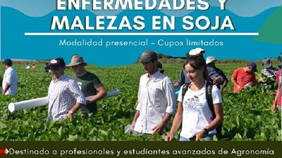 Manejo Integrado de Insectos, Enfermedades y Malezas en Soja