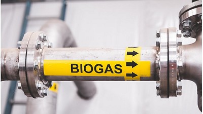 ‘Gasoductos lácteos’: un nuevo término en el lenguaje de la lechería californiana