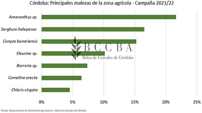 Situación de malezas en Córdoba