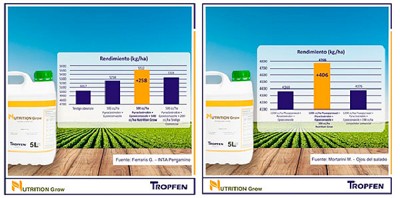 Post Lluvias, cómo hacer que las aplicaciones de fungicidas sean más eficientes?