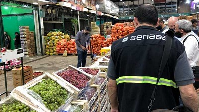 Lobesia botrana: Control sanitario a las uvas que se comercializan en mercados del AMBA