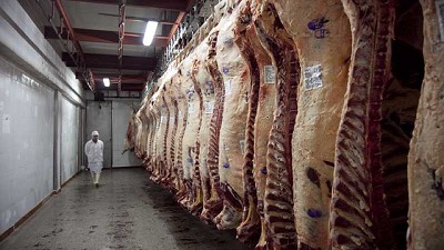 En el arranque del año el valor de la hacienda en pie se incrementó 1,9% con relación a diciembre de 2021