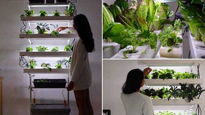 El sistema vertical hidropónico que podrás hacer tu mismo