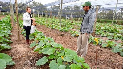 Nanofertilizantes: estudian su aplicación en cultivos hortícolas y suelos marginales