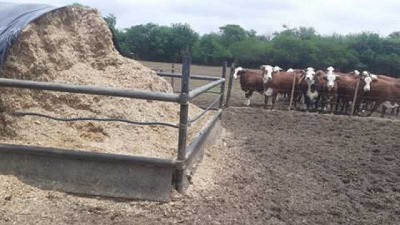 Costos de producción de silo bolsa de maíz