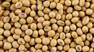 El USDA más cauteloso que el mercado: recorta la producción sudamericana, pero no como lo esperado