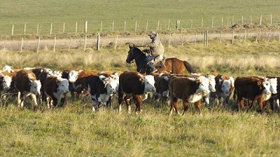 Hay que reducir emisiones de metano con foco en combustibles fósiles, más que en vacas