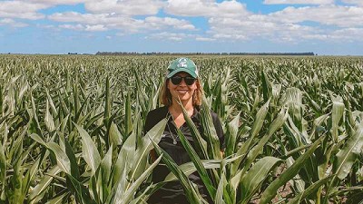 En los exámenes tras las lluvias, la soja y el maíz levantaron el aplazo