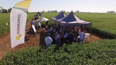 Lanzamientos, recomendaciones de manejo y tecnología serán los protagonistas de la DOMNMARIOMAS de Soja y Maíz 2022