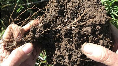 Checklist de balance de carbono, ¡positivo!