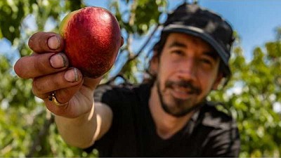  ¿La agricultura convencional y la orgánica pueden convivir?