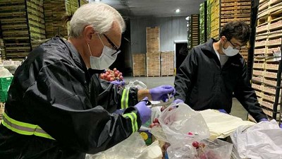 Primera exportación de uva en fresco sin bromurar a Brasil desde la región de Cuyo