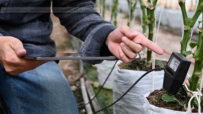 Comportamiento de los nutrientes en función del pH del suelo