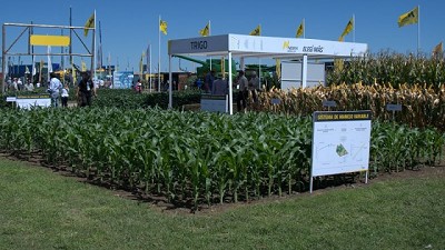 Genética y manejo para optimizar recursos y potenciar rindes