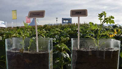 UPL presentó un producto derivado del maíz que permite aprovechar al máximo cada partícula de agua y de nutrientes