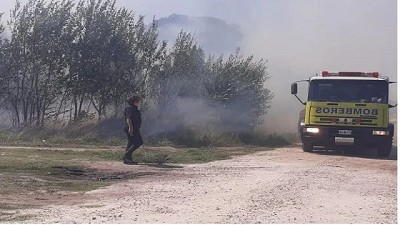 El 31% de los incendios en Mar del Plata fueron forestales