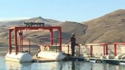 Argentina amplía su zona libre de enfermedades de los salmónidos en Río Negro y Neuquén