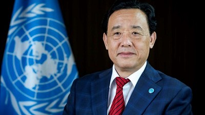 Transformando los sistemas agroalimentarios: de la visión global a la acción regional