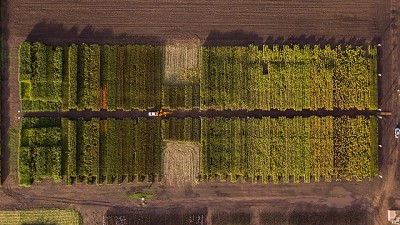 Nuseed presentó nuevas alternativas para nutrición animal e innovaciones en su portfolio