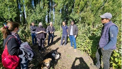 Se busca avanzar en un plan participativo e integral para el manejo de Drosophila suzukii