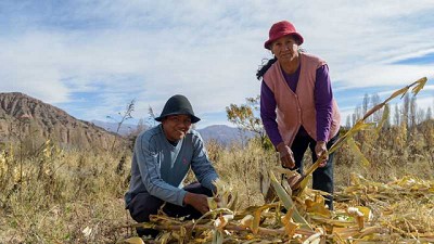 Jujuy: Recorrida por parcelas productivas familiares de comunidades originarias