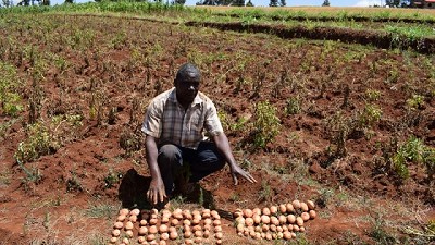Rizobacter aporta sus tecnologías biológicas en el despegue de la agricultura africana