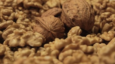 En Mendoza Invierten USD 5 millones para duplicar producción de nueces para exportar