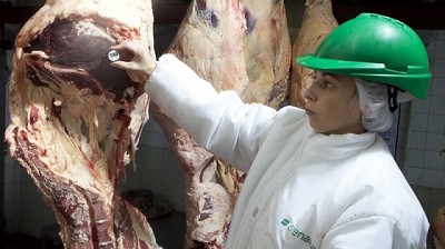 Recomendaciones para la prevención del síndrome urémico hemolítico en niños y niñas