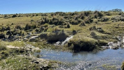 En 2021 se vendieron 232 mil hectáreas por US$ 810 millones