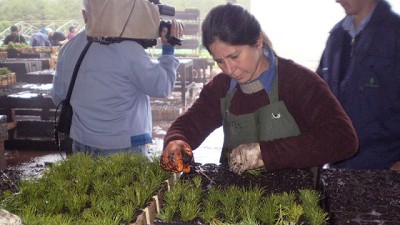 AFoA y el CAA presentan la guía de buenas prácticas laborales para promover la inclusión de las mujeres en el sector agroindustrial