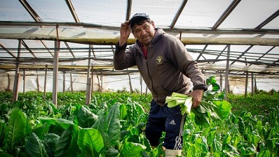 Acciones en el territorio para mitigar el cambio climático