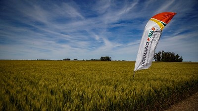 Con una propuesta sólida para cada productor DONMARIO encara la campaña de trigo 2022