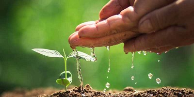 La Agenda Pendiente ante la Crisis Ambiental