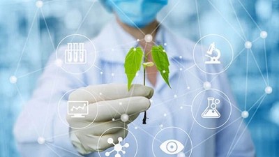 Agricultura Molecular ¿Vacunas de plantas?