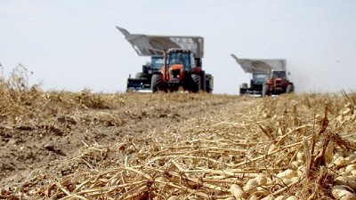 El sector manisero reclama una solución urgente a la falta de combustible