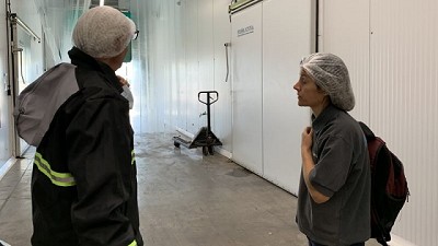 Certificación de fruta de granadas desde San Juan exportadas a Estados Unidos