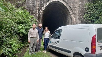 Estudian si los murciélagos son posibles transmisores del virus SARS-CoV2