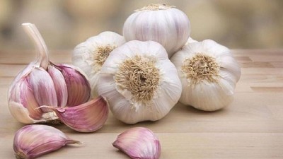 Certificación de la primera exportación a Sudáfrica de ajo semilla producido por Argentina