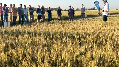 NEOGEN, una nueva propuesta de valor innovadora y ágil 