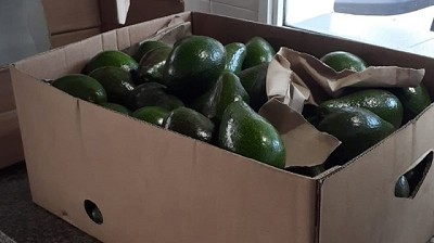 Se evitó el ingreso a la Patagonia de alimentos no aptos para el consumo humano