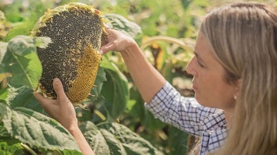 NK presentó su campaña 2022 con un porfolio renovado y nuevas soluciones digitales