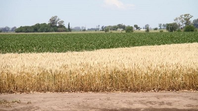 Las comunidades rurales custodian la biodiversidad de los paisajes agrícolas