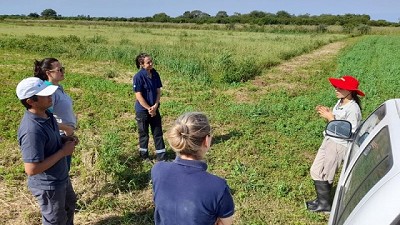 Inspecciones a desmotadores, hilanderías y establecimientos algodoneros de Chaco