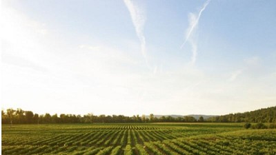 Una agroalimentaria local “plant based” certificó la Huella Hídrica de su principal cultivo