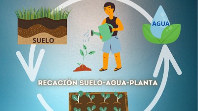 La estrecha y vital relación suelo-agua-planta